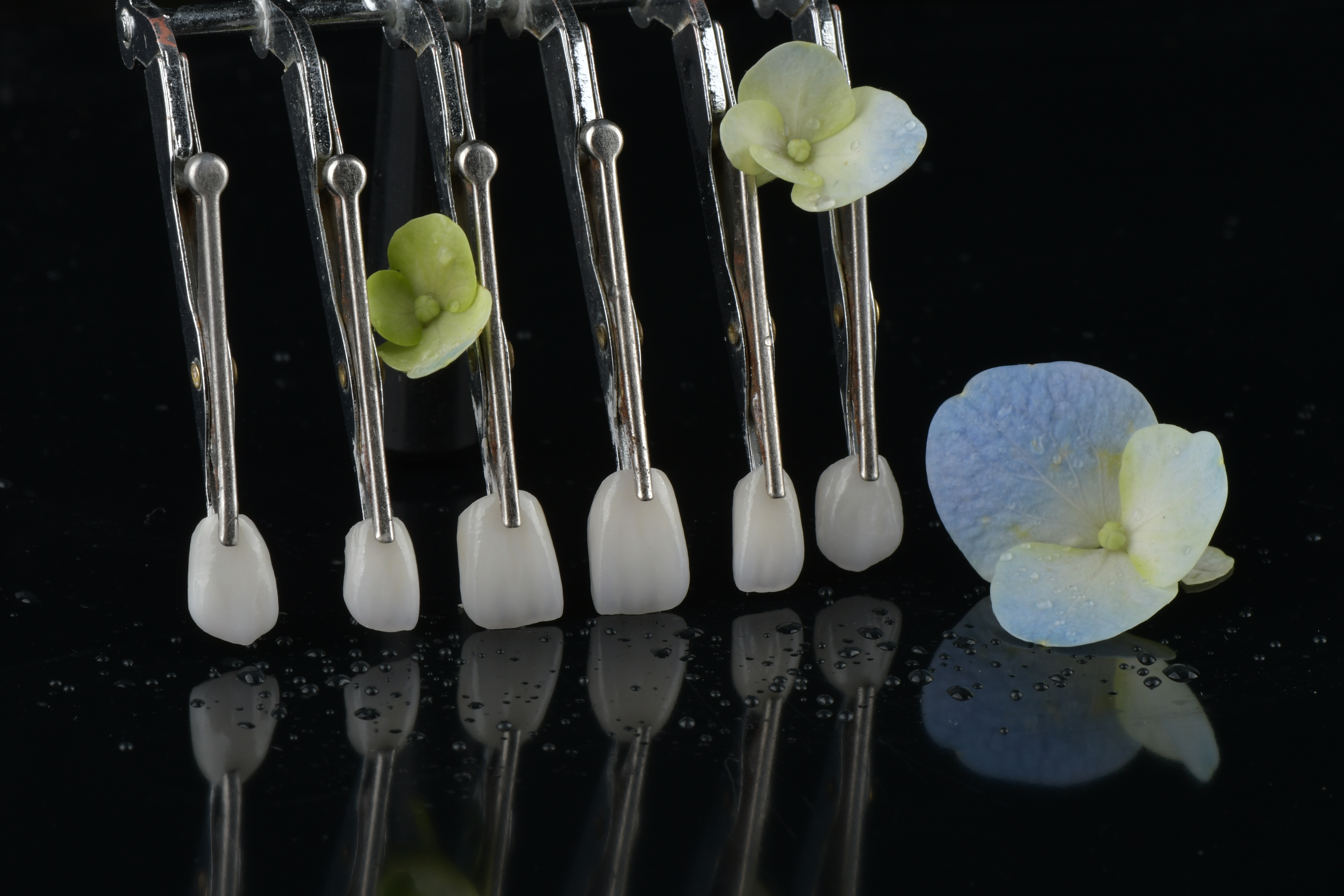 آخرین وبلاگ های شرکت در مورد آیا ترمیم های ثابت نیاز به قرار ملاقات های بعدی دارند؟